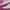 Puma Streetwear Casual Sneakers Wanita cream pink photo 2
