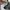 VANS Casual Sneakers Pria white black photo 6
