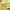 Adidas Casual Hoody Pria yellow photo 5