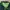 Puma Y2K Sportswear Windbreaker Pria green photo 4
