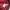 Adidas Vintage Streetwear Windbreaker Pria navy red photo 4