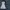 Coquette Midi dress Wanita white photo 1