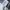 Nike Y2K Sportswear Windbreaker Pria black photo 7