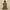 Vintage Y2K Vest Wanita green photo 1
