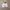 Helly Hansen Y2K Sportswear Windbreaker Pria white photo 1