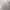 Helly Hansen Y2K Sportswear Windbreaker Pria white photo 5