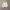 Helly Hansen Y2K Sportswear Windbreaker Pria white photo 7