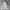 Vintage Streetwear Hoody Pria gray photo 4