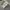 National Geographic Outerwear Kids white blue photo 8