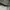 Geox Streetwear Casual Sneakers Pria white photo 7