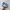 Adidas Casual Sneakers Pria blue photo 3