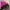 Casual Hat Wanita pink photo 2