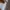 Calvin Klein Casual Formal shirt Pria white blue photo 2