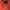 Vintage Casual Hat Pria orange photo 6