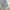 Dickies Vintage Y2K Jeans Pria gray photo 5
