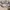 New Balance Streetwear Casual Sneakers Pria multicolor cream photo 1