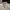 Polo Ralph Lauren Luxury Sweatshirt Pria white photo 5