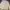 Polo Ralph Lauren Luxury Sweatshirt Pria White