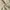 Casual Casual pants Pria khaki photo 4