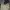 Hush Puppies Casual Sweater Wanita cream photo 1