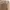 Vintage Muslim Midi dress Wanita khaki photo 6