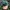 Made In USA Vintage Hat Pria Green