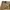 EDWIN Vintage Casual Casual pants Pria tan brown photo 2