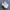 Nike Streetwear Sportswear Sneakers Pria white photo 1