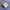 Nike Streetwear Sportswear Sneakers Pria tan photo 1