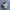 Nike Streetwear Sportswear Sneakers Pria white black photo 1