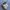 Nike Streetwear Sportswear Sneakers Pria White Black