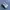 Adidas Streetwear Skater Sneakers Pria white black photo 1