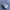 Adidas Streetwear Skater Sneakers Pria White Black