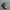 Adidas Streetwear Casual Sneakers Pria gray photo 1