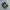 Adidas Streetwear Skater Sneakers Pria black photo 1