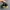 Adidas Streetwear Skater Sneakers Pria black photo 4