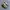 New Balance Streetwear Sportswear Sneakers Pria gray photo 1