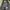 NEPA Gorpcore Puffer jacket Pria tan photo 6