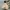 NEPA Gorpcore Puffer jacket Pria tan photo 1