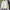 Vintage Biker Bomber jacket Pria white photo 7