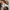 Emporio Armani Casual Sneakers Pria multicolor photo 5