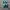 Adidas Skater Casual Sneakers Pria green white photo 1