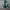 Adidas Skater Casual Sneakers Pria green white photo 4