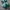 Adidas Skater Casual Sneakers Pria green white photo 2