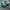 Adidas Skater Casual Sneakers Pria green white photo 3