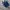 Adidas Vintage Casual Casual shoe Pria white blue photo 2