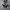 Adidas Streetwear Casual Sneakers Pria white black photo 4
