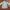 Vintage Denim jacket Pria blue photo 2