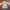 Vintage Denim Jacket Pria Blue