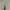 Burberry Streetwear Luxury Jeans Pria gray photo 5